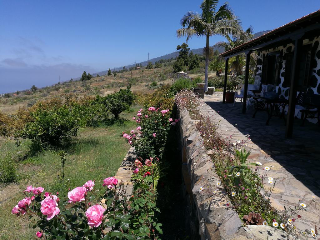فيلا Casa Rural Los Abuelos تيخارافي المظهر الخارجي الصورة